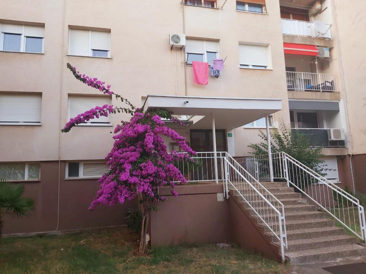 Popovic Apartment *